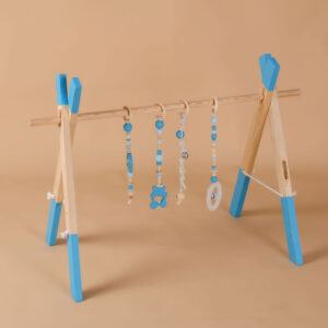 Montessori BABY GYM by Medalis - plavi